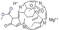 CAS#: 14897-06-4， Chlorophyllide A