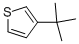 CAS#: 1689-79-8， 3-Tert-Butylthiophene