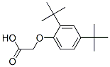 structure of CAS# 18327-79-2, (2,4-Di-Tert-Butylphenoxy)Acetic Acid;2-(2,4-Ditert-Butylphenoxy)Ethanoate;Zinc00297875