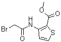 结构式 CAS# 227958-47-6, 3-[(溴乙酰基)氨基]-2-噻吩羧酸甲酯