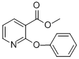 CAS#: 36701-88-9， Methyl 2-Phenoxynicotinate