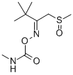 structure of CAS# 39184-27-5, Thiofanox-Sulfoxide;Thiofanox Sulfoxide;2-Butanone, 3,3-Dimethyl-1-(Methylsulfinyl)-, O-[(Methylamino)Carbonyl]Oxime;2-Butanone, 3,3-Dimethyl-1-(Methylsulfinyl)-, O-((Methylamino)Carbonyl)Oxime