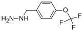 structure of CAS# 51887-20-8, 4-Trifluoromethoxy-Benzyl-Hydrazine