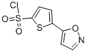 structure of CAS# 551930-53-1, 5-(5-Isoxazyl)Thiophene-2-Sulfonyl Chloride;5-(5-Isoxazolyl)-2-Thiophenesulfonyl Chloride(SALTDATA: FREE);5-Isoxazol-5-Ylthiophene-2-Sulfonyl Chloride, Tech.;2-Thiophenesulfonylchloride,5-(5-Isoxazolyl)-(9CI)