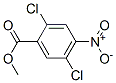 CAS#: 63105-61-3， Methyl 2,5-Dichloro-4-Nitrobenzoate