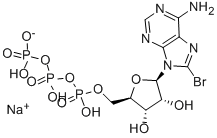 structure of CAS# 81035-56-5, 8-Bromo-Adenosine-5'-Triphosphate Sodium Salt;8-BROMO-ADENOSINE-5'-TRIPHOSPHATE, SODIUM SALT;8-Bromoadenosine 5'-Triphosphate Sodium;8BR-ATP SODIUM SALT