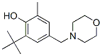 structure of CAS# 84824-97-5, 6-Tert-Butyl-4-(Morpholinomethyl)-o-Cresol;2-Tert-Butyl-6-Methyl-4-(Morpholinomethyl)Phenol;6-Tert-Butyl-4-(Morpholinomethyl)-O-Cresol