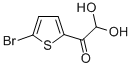 structure of CAS# 852619-28-4, 5-Bromo-2-Thiopheneglyoxal Hydrate;(5-Bromothien-2-Yl)(Oxo)Acetaldehyde Hydrate, 1-(5-Bromothien-2-Yl)-2,2-Dihydroxyethan-1-One;5-BROMO-2-THIOPHENEGLYOXAL HYDRATE, 95+%;(5-Bromothien-2-Yl)Glyoxal Hydrate 95%