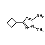结构式 CAS# 92406-41-2, 3-环丁基-1-甲基-1H-吡唑-5-胺