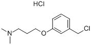 structure of CAS# 926921-62-2, 3-[3-(Chloromethyl)Phenoxy]-N,N-Dimethyl-1-Propanamine Hydrochloride (1:1);3-[3-(Chloromethyl)Phenoxy]-N,N-Dimethylpropylamine Hydrochloride;3-[3-(Dimethylamino)Propoxy]Benzyl Chloride Hydrochloride 97%;3-[3-(Dimethylamino)Propoxy]Benzyl Chloride Hydrochloride
