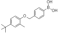 structure of CAS# 1072951-67-7, [4-[[4-(1,1-Dimethylethyl)-2-methylphenoxy]methyl]phenyl]boronic acid
