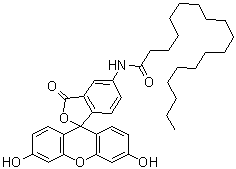 结构式 CAS# 110698-53-8, 5-N-(十八烷酰基)氨基荧光素