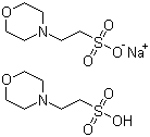 structure of CAS# 117961-21-4, 2-(N-Morpholino)ethanesulfonic acid hemisodium salt;4-Morpholineethanesulfonic acid hemisodium salt; MES hemisodium salt