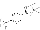 结构式 CAS# 1218790-39-6, 2-三氟甲基吡啶-5-硼酸频哪醇酯