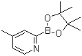 structure of CAS# 1236119-88-2, 4-Methylpyridine-2-boronic acid pinacol ester;4-Methyl-2-(4,4,5,5-tetramethyl-1,3,2-dioxaborolan-2-yl)pyridine