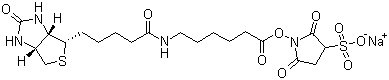structure of CAS# 127062-22-0, Sulfosuccinimidyl 6-(biotinamido)hexanoate sodium salt;6-[[5-(Hexahydro-2-oxo-1H-thieno[3,4-d]imidazol-4-yl)-1-oxopentyl]amino]hexanoic acid 2,5-dioxo-3-sulfo-1-pyrrolidinyl ester sodium salt (1:1)