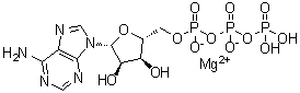Adenosine triphosphate magnesium salt molecular structure (CAS 1476-84-2)