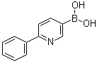 结构式 CAS# 155079-10-0, 2-苯基吡啶-5-硼酸