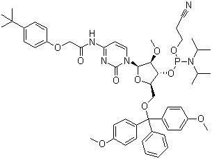 结构式 CAS# 179486-26-1, 5'-O-(4,4-二甲氧基三苯甲基)-N-[[4-(叔丁基)苯氧基]乙酰基]-2'-O-甲基胞苷-3'-(2-氰基乙基-N,N-二异丙基)亚磷酰胺