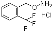结构式 CAS# 215599-92-1, O-(2-三氟甲基苄基)羟胺盐酸盐