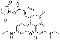 structure of CAS# 216699-36-4, 6-Carboxy-X-rhodamine succinimidyl ester;6-Carboxy-X-rhodamine N-succinimidyl ester; 6-ROX SE; 6-CXR SE