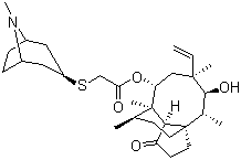 structure of CAS# 224452-66-8, Retapamulin;SB-275833
