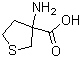 结构式 CAS# 32418-99-8, 3-氨基四氢噻吩-3-羧酸