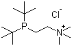 2-[Bis(tert-butyl)phosphino]-N,N,N-trimethylethanaminium chloride molecular structure (CAS 360577-23-7)