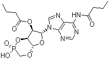 structure of CAS# 362-74-3, Bucladesine;N-6,O-2'-Dibutyryl adenosine cyclic 3':5'-monophosphate; N-(9-beta-D-Ribofuranosyl-9H-furin-6-yl)-butyramide cyclic 3',5'-(hydrogen phosphate) 2'-butyrate
