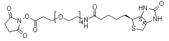 structure of CAS# 459426-22-3, 21-[(3aS,4S,6aR)-Hexahydro-2-oxo-1H-thieno[3,4-d]imidazol-4-yl]-17-oxo-4,7,10,13-tetraoxa-16-azaheneicosanoic acid 2,5-dioxo-1-pyrrolidinyl ester