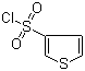 3-Thiophenesulfonyl chloride molecular structure (CAS 51175-71-4)