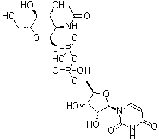 structure of CAS# 528-04-1, Uridine 5'-(2-acetamido-2-deoxy-alpha-D-glucosyl pyrophosphate);UDP N-acetyl-alpha-D-glucosamine; UDP-N-acetyl-D-glucosamine; UDP-alpha-D-N-acetylglucosamine