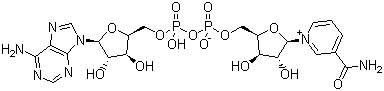 structure of CAS# 53-84-9, β-Diphosphopyridine nucleotide;β-Nicotinamide adenine dinucleotide; beta-DPN; beta-NAD