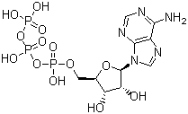 structure of CAS# 56-65-5, Adenosine triphosphate;5'-Deoxyadenylate triphosphate; Adenosine 5'-triphosphate; [(2R,3S,4R,5R)-5-(6-Aminopurin-9-yl)-3,4-dihydroxyoxolan-2-yl]methyl (hydroxy-phosphonooxyphosphoryl) hydrogen phosphate