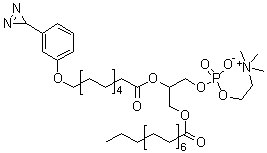 结构式 CAS# 65114-56-9, (R)-7-[[11-[3-(3H-双吖丙啶-3-基)苯氧基]-1-氧代十一烷基]氧基]-4-羟基-N,N,N-三甲基-10-氧代-3,5,9-三氧杂-4-磷杂二十五烷-1-铵内盐 4-氧化物