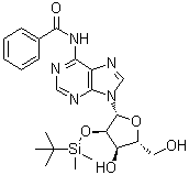 structure of CAS# 69504-07-0, N6-Benzoyl-2'-O-(tert-butyldimethylsilyl)adenosine;N-[9-[(2R,3R,4R,5R)-3-[tert-butyl(dimethyl)silyl]oxy-4-hydroxy-5-(hydroxymethyl)oxolan-2-yl]purin-6-yl]benzamide