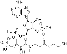 structure of CAS# 85-61-0, Coenzyme A;CoA;[[(2R,3S,4R,5R)-5-(6-aminopurin-9-yl)-4-hydroxy-3-phosphonooxyoxolan-2-yl]methoxy-hydroxyphosphoryl] [(3R)-3-hydroxy-2,2-dimethyl-4-oxo-4-[[3-oxo-3-(2-sulfanylethylamino)propyl]amino]butyl] hydrogen phosphate