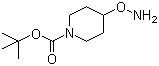 结构式 CAS# 867034-25-1, 4-(氨基氧基)哌啶-1-甲酸叔丁酯