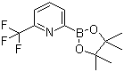 structure of CAS# 881402-16-0, 6-(Trifluoromethyl)pyridine-2-boronic acid pinacol ester;2-(4,4,5,5-Tetramethyl-1,3,2-dioxaborolan-2-yl)-6-trifluoromethylpyridine
