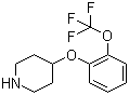 结构式 CAS# 902836-49-1, 4-[2-(三氟甲氧基)苯氧基]哌啶
