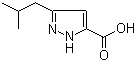 structure of CAS# 92933-49-8, 3-Isobutyl-1H-pyrazole-5-carboxylic acid;3-(2-Methlypropyl)-1H-pyrazole-5-carboxylic acid