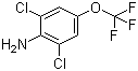 结构式 CAS# 99479-66-0, 2,6-二氯-4-(三氟甲氧基)苯胺